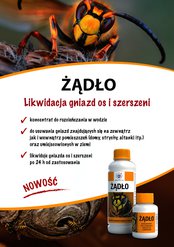 Żądło