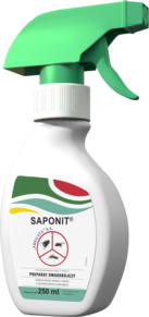 Saponit